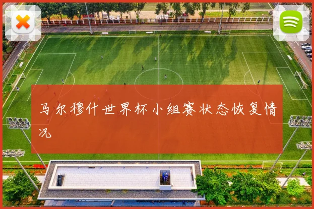 马尔穆什世界杯小组赛状态恢复情况