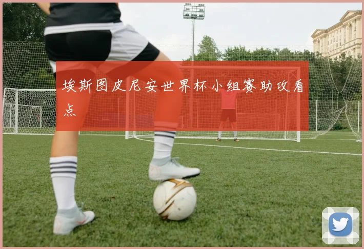 埃斯图皮尼安世界杯小组赛助攻看点