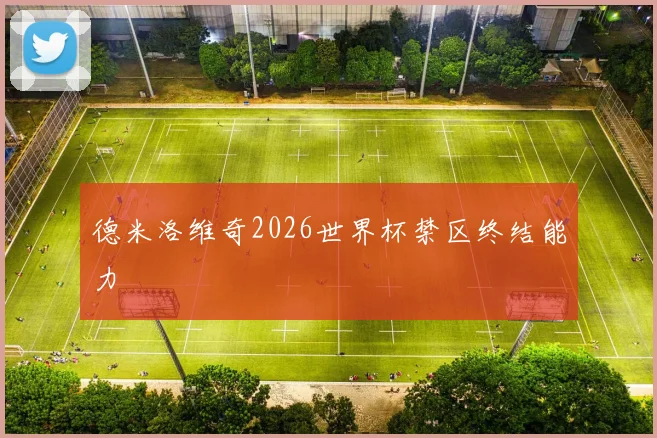 德米洛维奇2026世界杯禁区终结能力