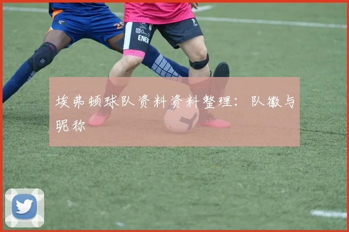 埃弗顿球队资料资料整理：队徽与昵称