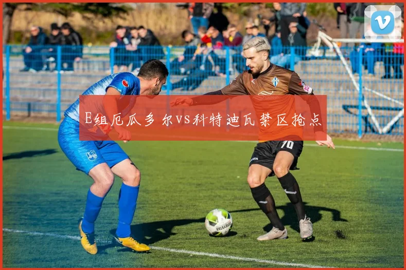 E组厄瓜多尔vs科特迪瓦禁区抢点