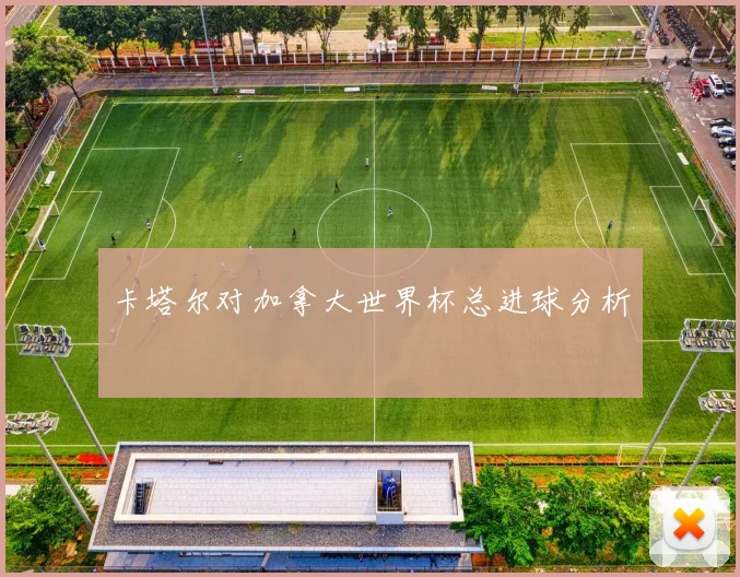 卡塔尔对加拿大世界杯总进球分析