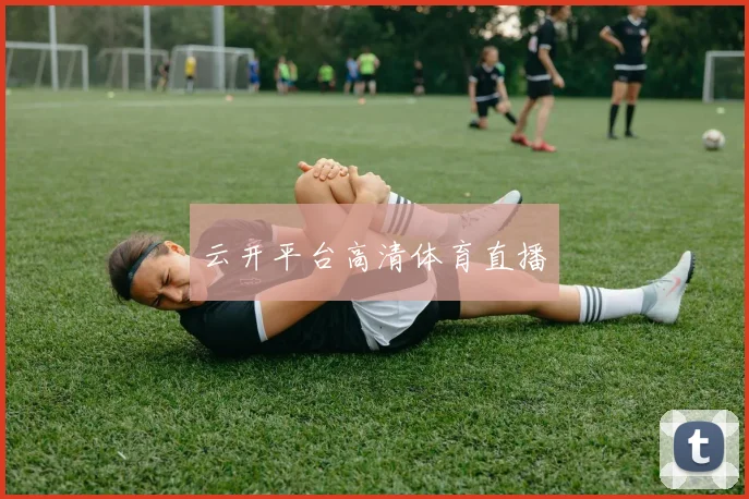 云开平台高清体育直播