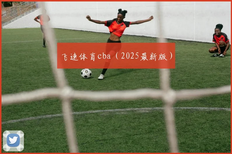 飞速体育cba（2025最新版）