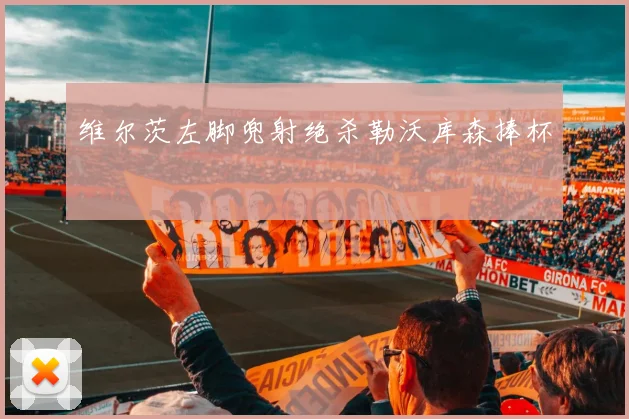 维尔茨左脚兜射绝杀勒沃库森捧杯