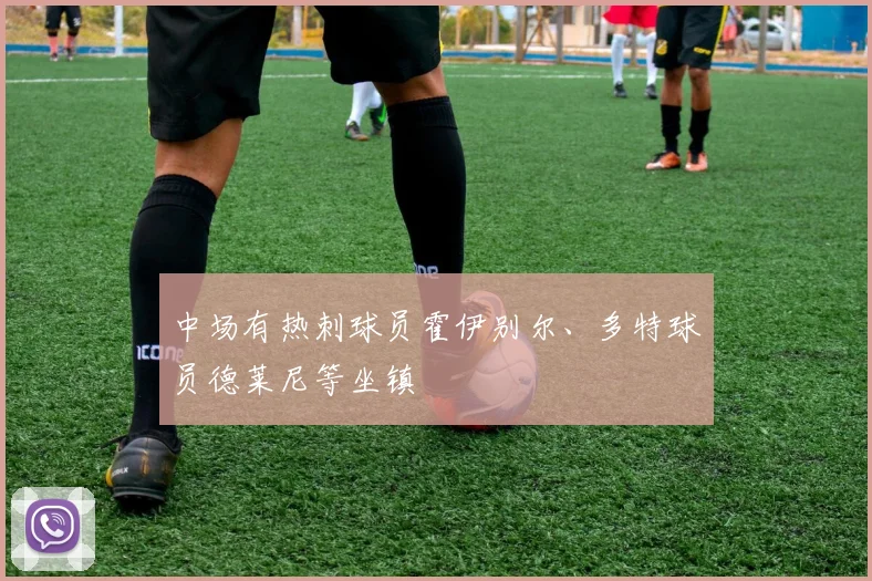 中场有热刺球员霍伊别尔、多特球员德莱尼等坐镇