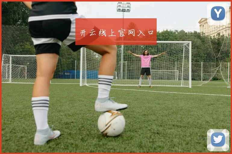 开云线上官网入口