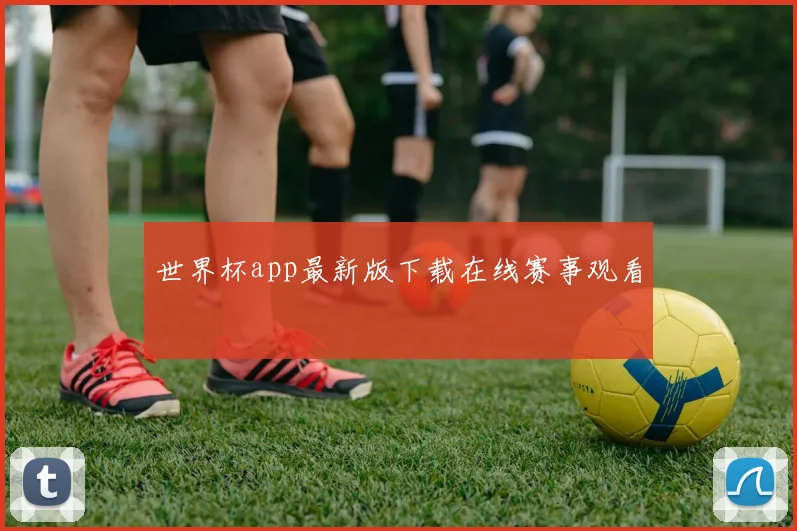 世界杯app最新版下载在线赛事观看