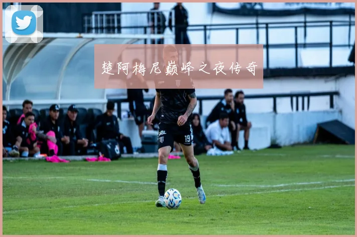 楚阿梅尼巅峰之夜传奇