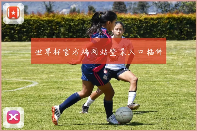 世界杯官方端网站登录入口插件