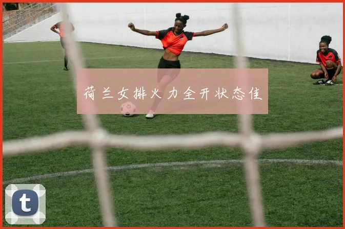 荷兰女排火力全开状态佳