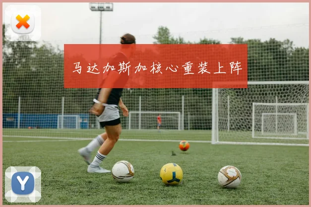 马达加斯加核心重装上阵