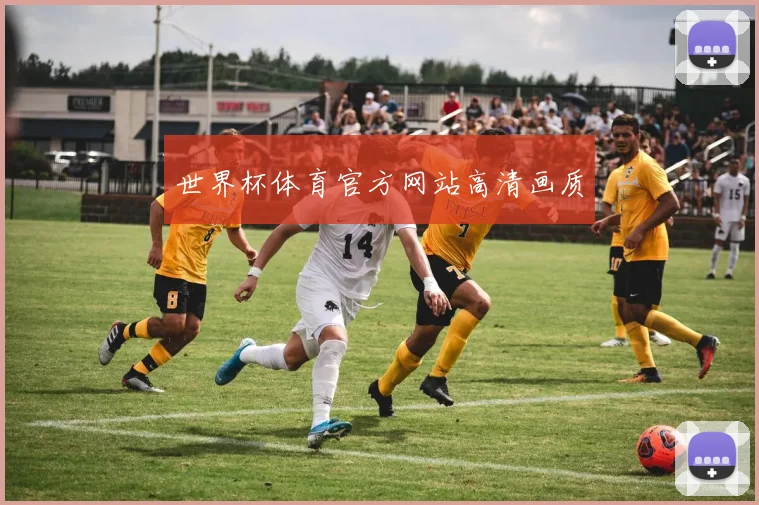 世界杯体育官方网站高清画质
