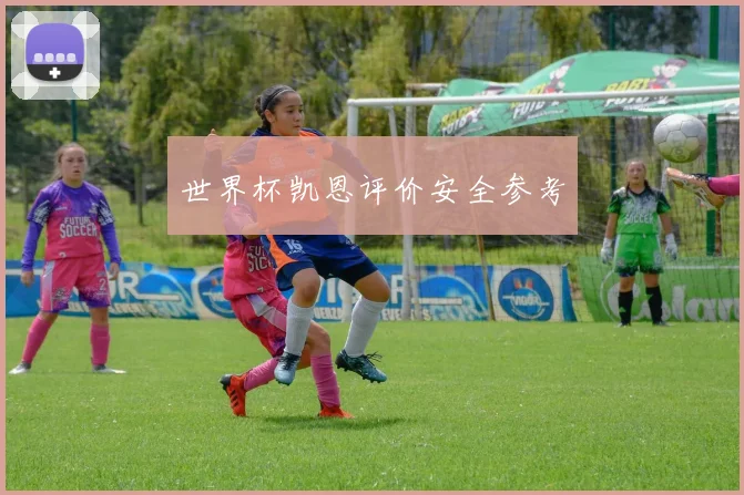 世界杯凯恩评价安全参考