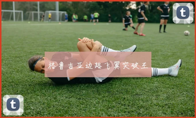 格鲁吉亚边路飞翼突破王