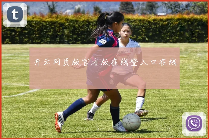 开云网页版官方版在线登入口在线