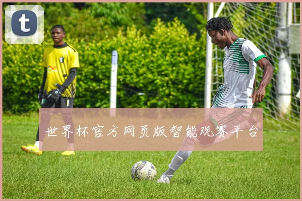 世界杯官方网页版智能观赛平台