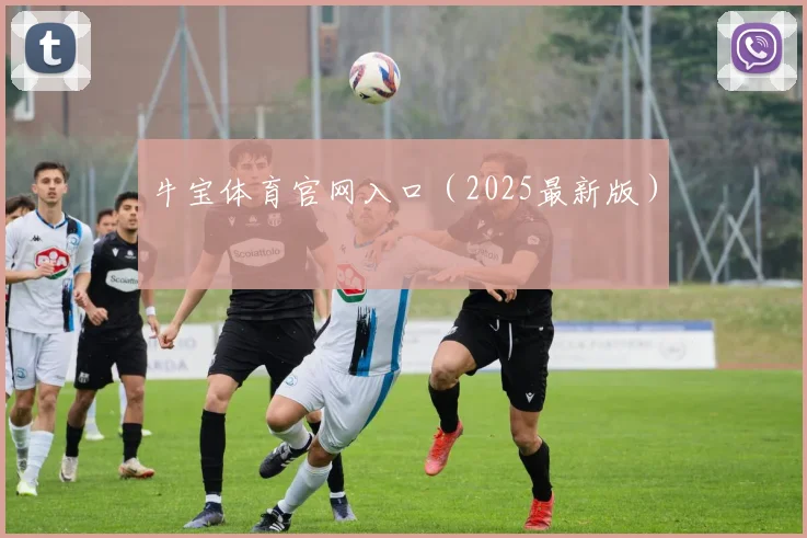 牛宝体育官网入口（2025最新版）