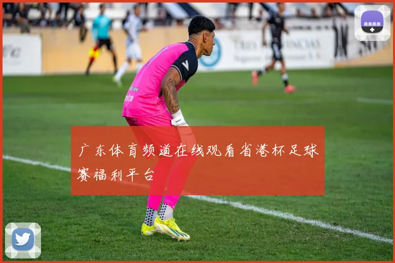 广东体育频道在线观看省港杯足球赛福利平台