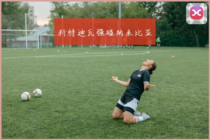 科特迪瓦强碰纳米比亚