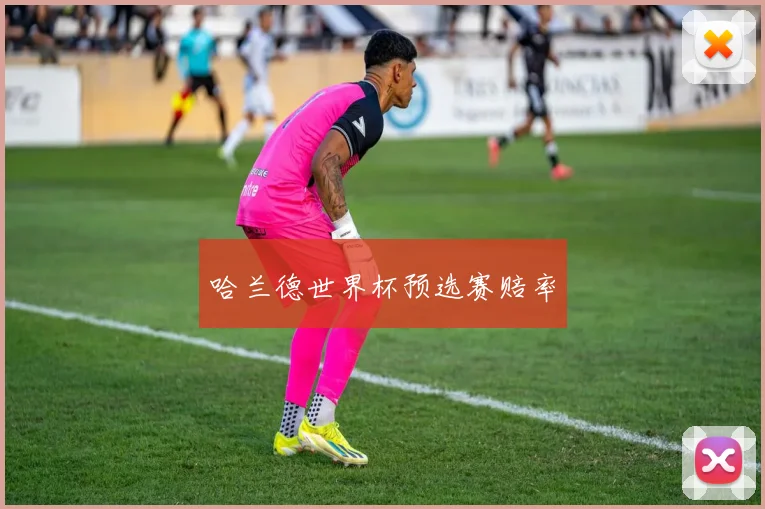 哈兰德世界杯预选赛赔率