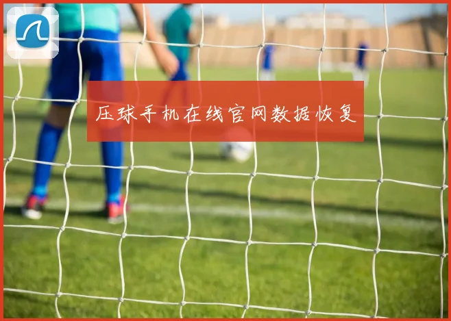 压球手机在线官网数据恢复