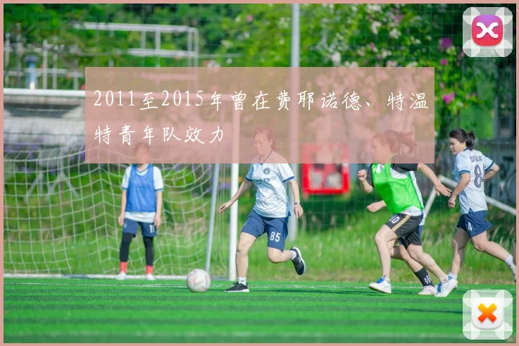 2011至2015年曾在费耶诺德、特温特青年队效力
