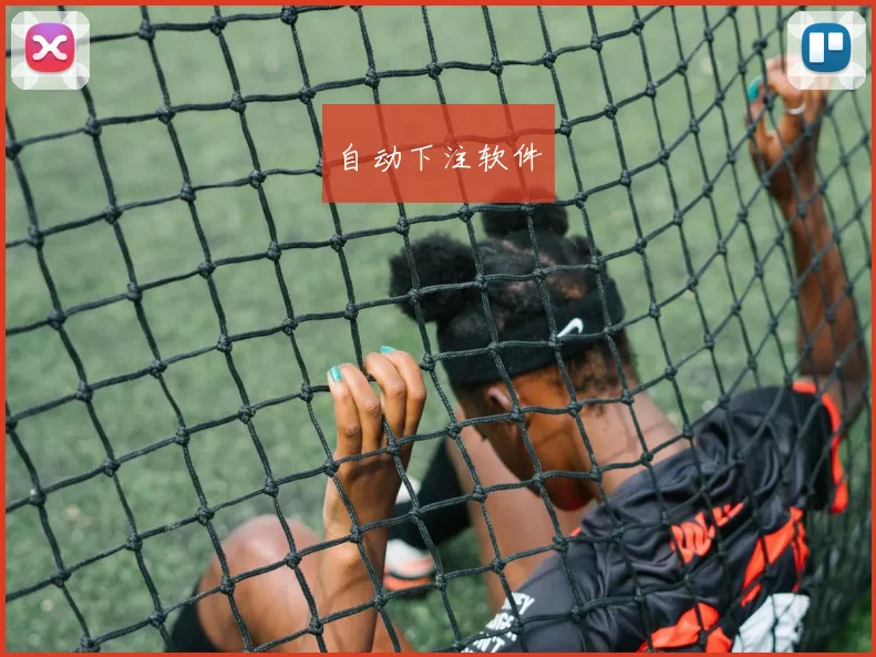 自动下注软件
