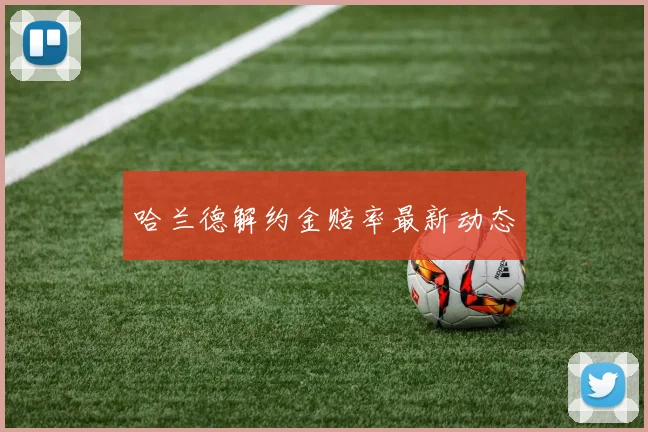 哈兰德解约金赔率最新动态