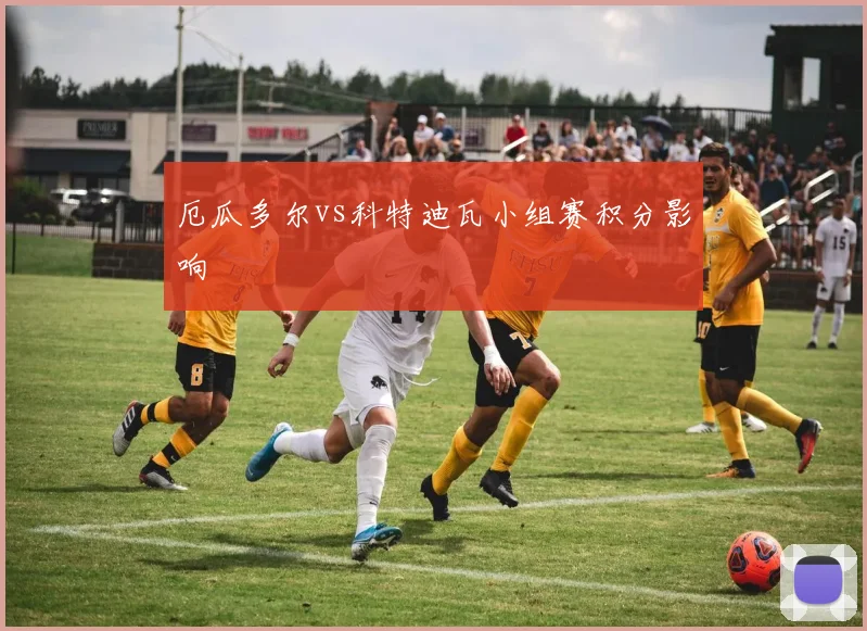 厄瓜多尔vs科特迪瓦小组赛积分影响