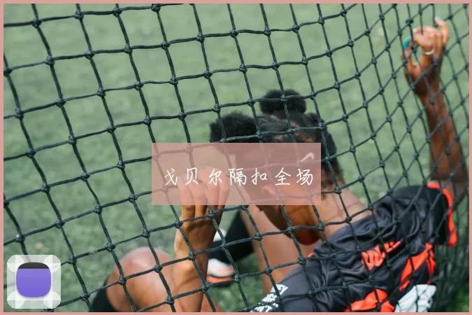 戈贝尔隔扣全场