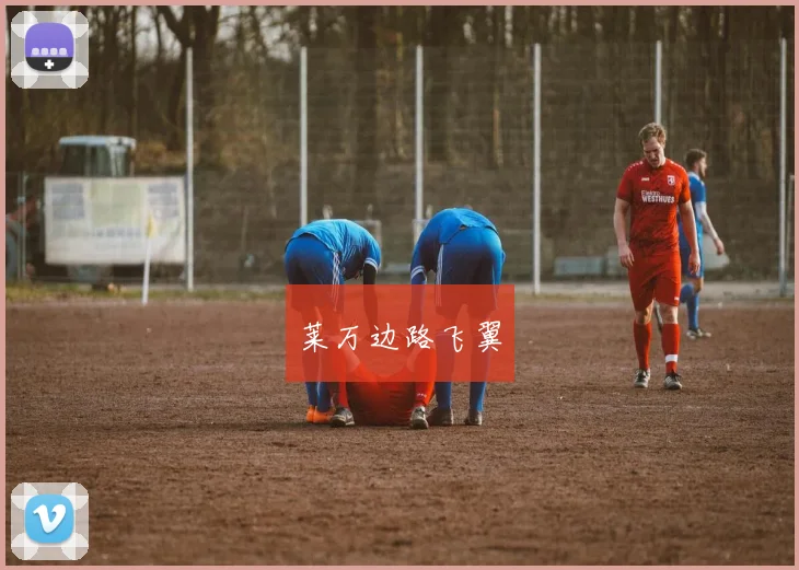 莱万边路飞翼