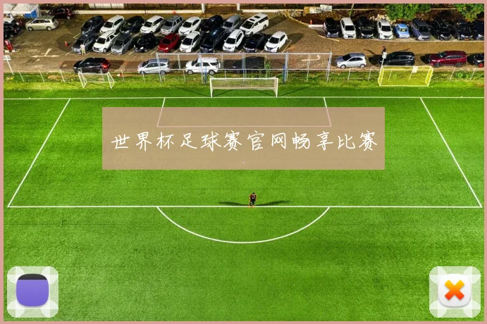 世界杯足球赛官网畅享比赛