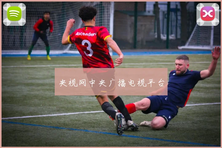 央视网中央广播电视平台