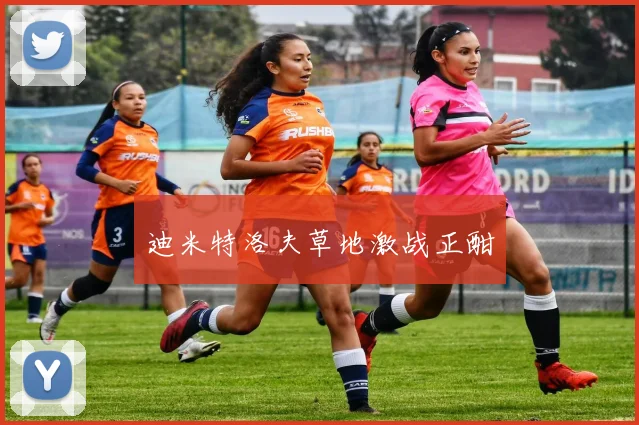 迪米特洛夫草地激战正酣
