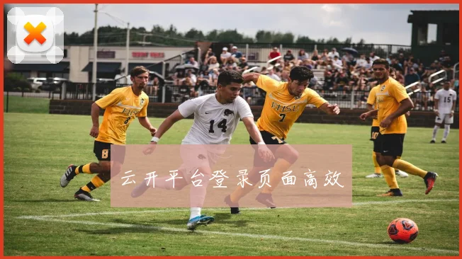 云开平台登录页面高效