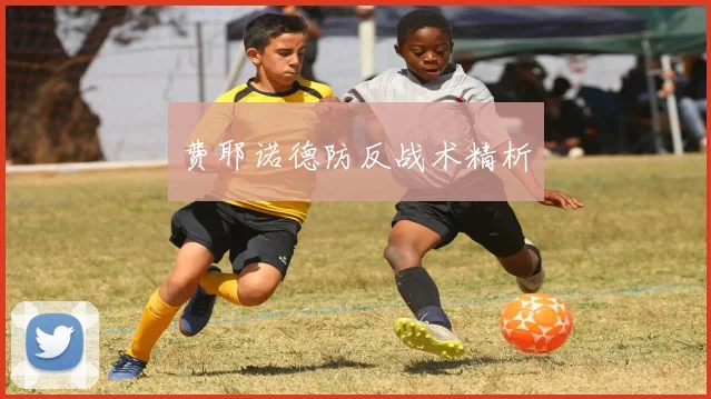 费耶诺德防反战术精析