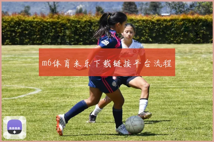 m6体育米乐下载链接平台流程