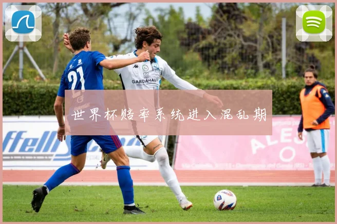 世界杯赔率系统进入混乱期