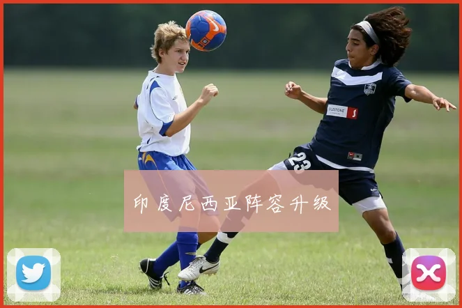 印度尼西亚阵容升级