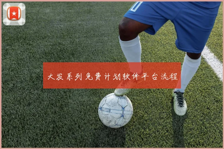 大发系列免费计划软件平台流程