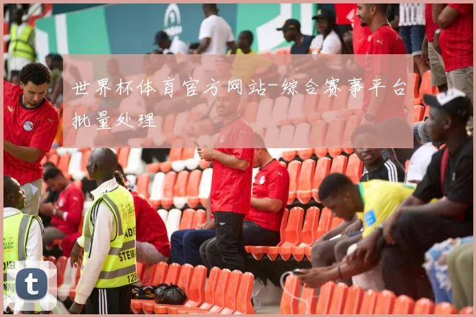 世界杯体育官方网站-综合赛事平台批量处理