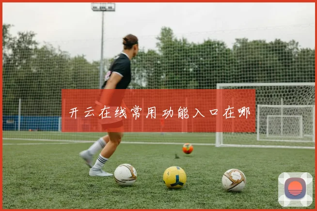 开云在线常用功能入口在哪